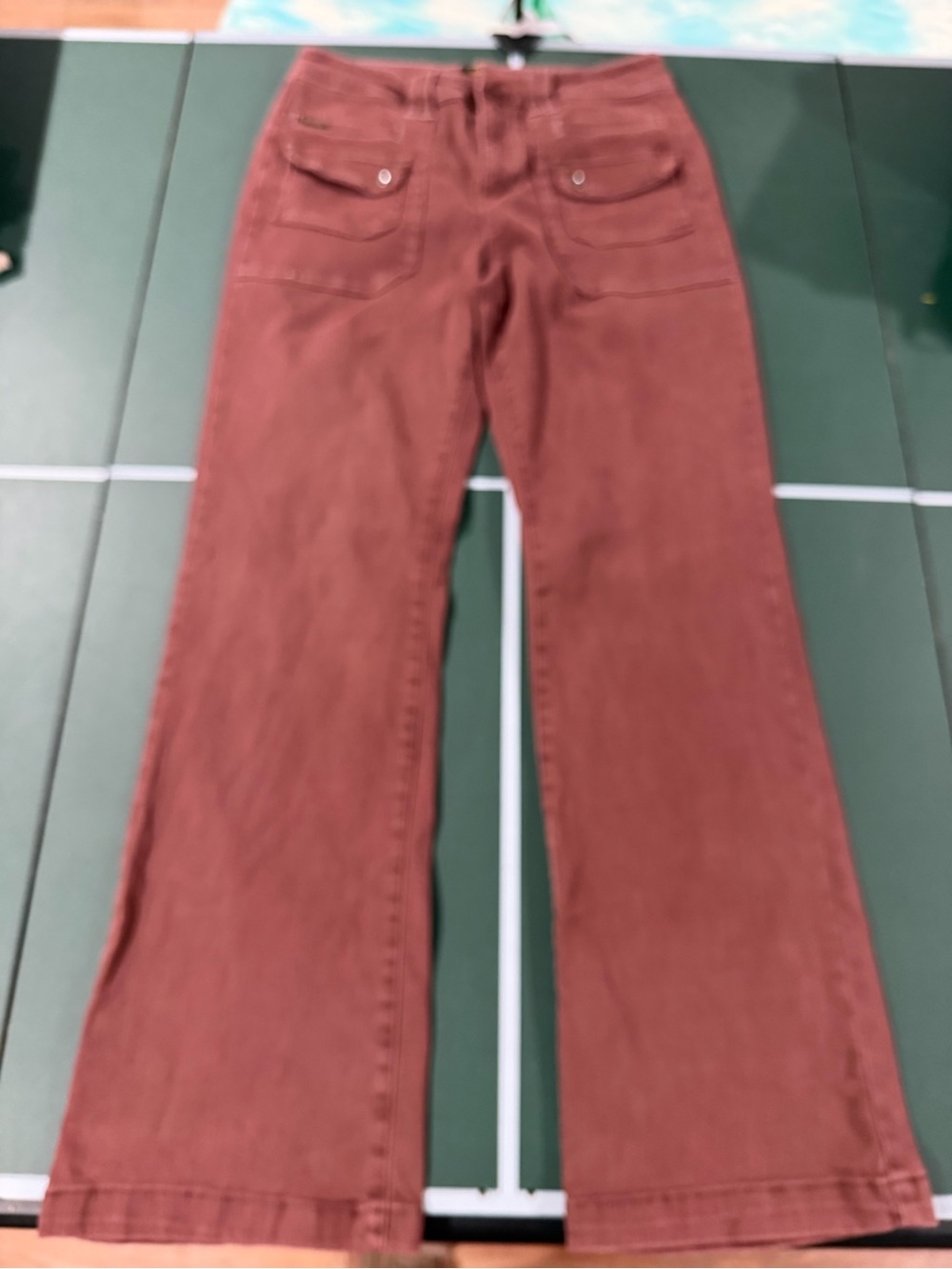 Five Star Wide-Leg Pants in Brick Red
